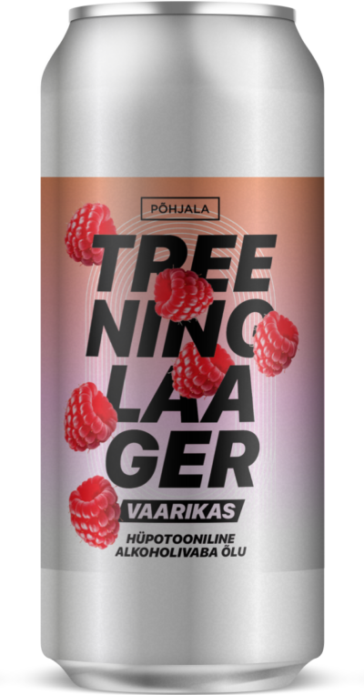 Treeninglaager Vaarikas